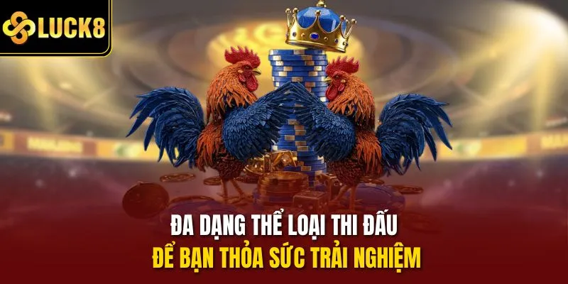 Đa dạng thể loại thi đấu để bạn thỏa sức trải nghiệm
