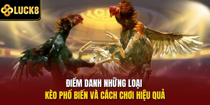 Điểm danh những loại kèo phổ biến và cách chơi hiệu quả
