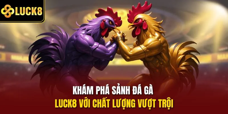 Khám phá sảnh đá gà Luck8 với chất lượng vượt trội