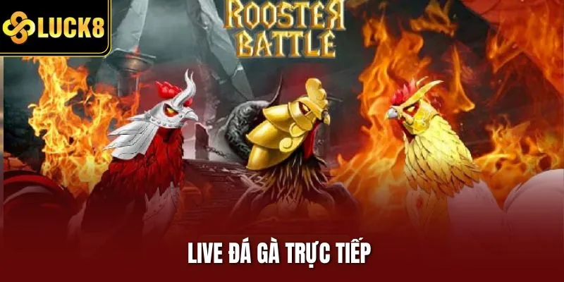 Live đá gà trực tiếp