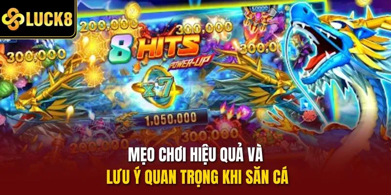 Mẹo chơi hiệu quả và lưu ý quan trọng khi săn cá