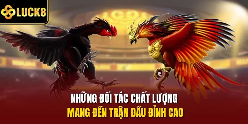 Những đối tác chất lượng mang đến trận đấu đỉnh cao